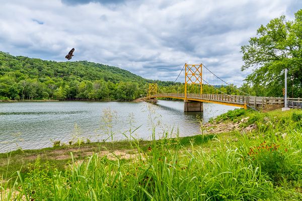 Hawk Over Little Golden Gate Print