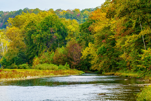 North Fork River Flows Into Fall Print