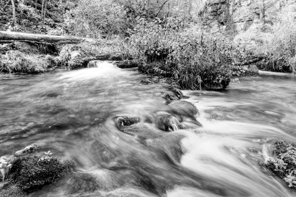 Autumn Cascades At Ozarks Greer Spring Grayscale Print