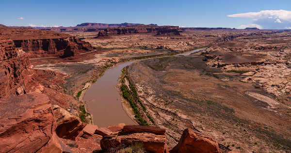 Hite Overlook Edge Colorado River Pano Print