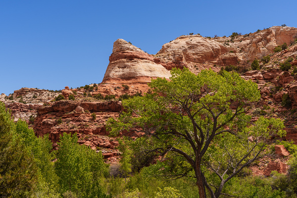 Colorful Canyon Walls Grand Staircase Utah by Jennifer White