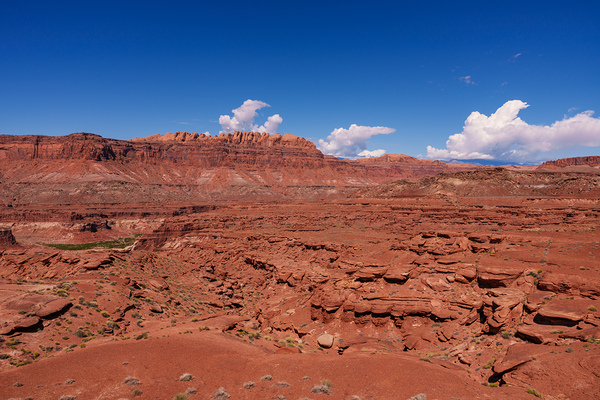 Glen Canyon Hite Overlook by Jennifer White