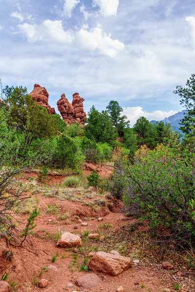 Backside Of Siamese Twins Colorado Vertical by Jennifer White