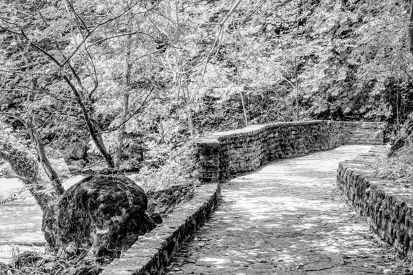 Pathway To Big Spring Grayscale Print