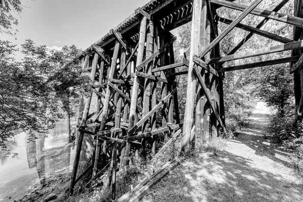 Path Under Old Railroad Bridge Grayscale Print