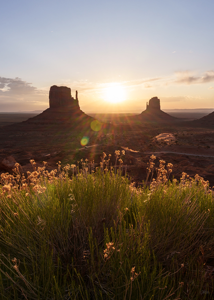 Yellow Flowers Monument Valley Sunrise Print