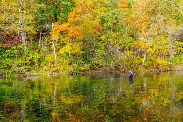 Autumn Fly Fishing At Bennett Spring by Jennifer White