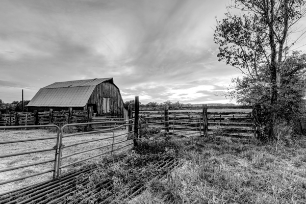 Ozarks Barn October Sunset Grayscale Print