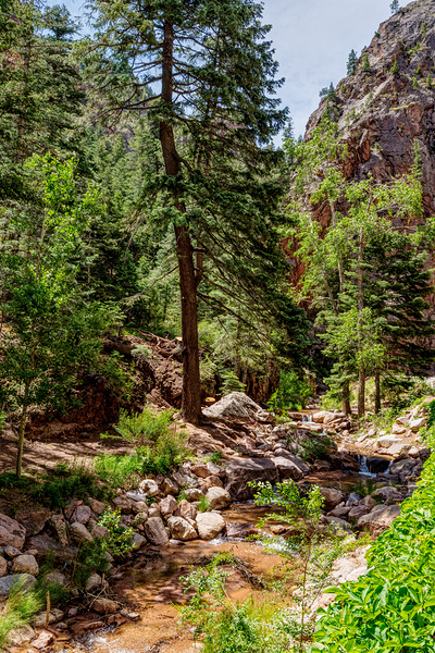 Colorado Forest Creek And Mountains Print