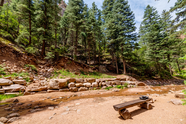 Colorado Forest Creek Bench by Jennifer White