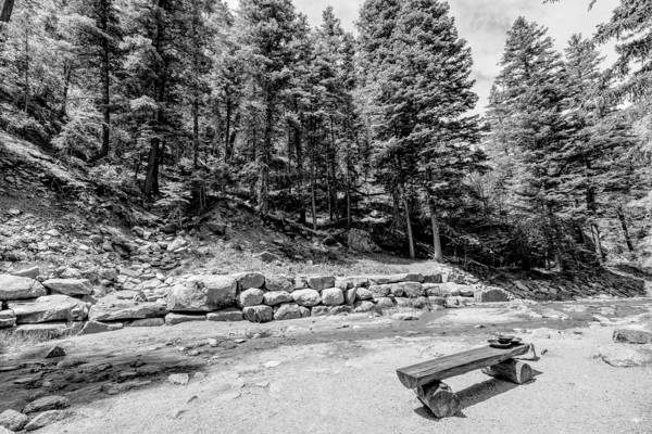 Colorado Forest Creek Bench Grayscale by Jennifer White