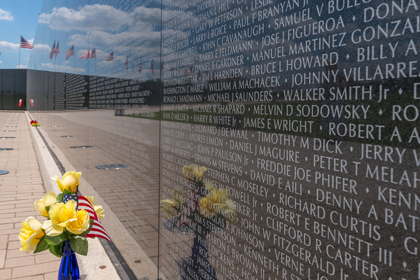 Vietnam Wall Yellow Roses Print