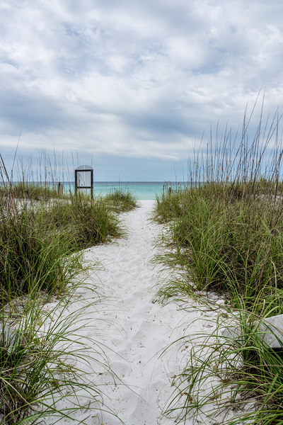 Destin White Sand Path To The Beach Print