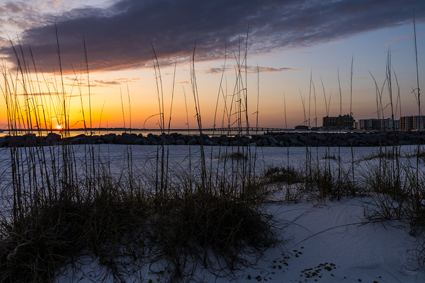 Destin FL Sunset Through Sea Oats Print