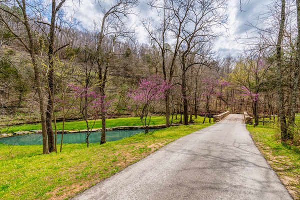 Walking Path On Spring Season Day Print
