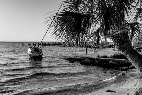 Gulf Breeze Evening Sailboat Grayscale Print
