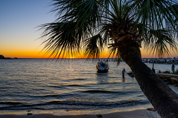 Gulf Breeze Palm Tree And Sailboat Sunset Print