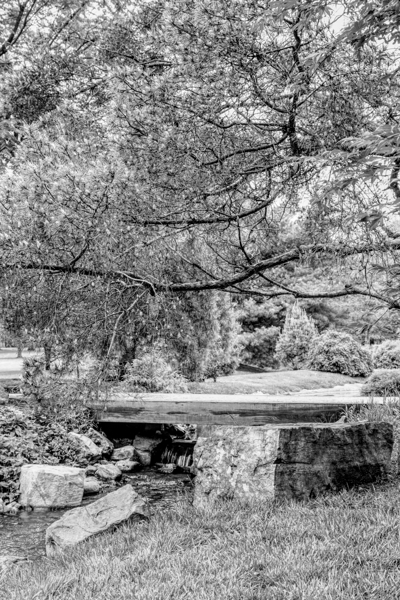 Spring Season Zen Garden Grayscale Print