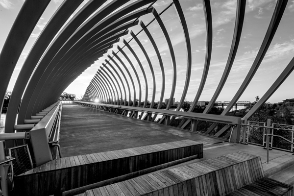 Sunrise Through The Farnam Pier Beams Grayscale Print