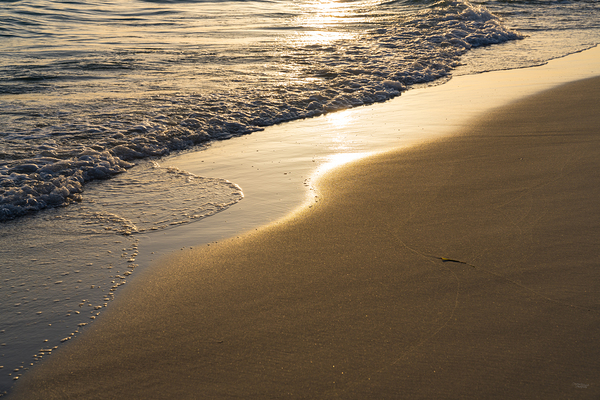 Shimmering Gold Seashore Florida Beach Sunset Print