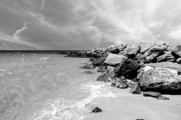 By The Shell Island Jetty Grayscale by Jennifer White