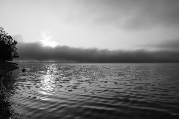 Mystical Foggy Lake Morning Grayscale Print