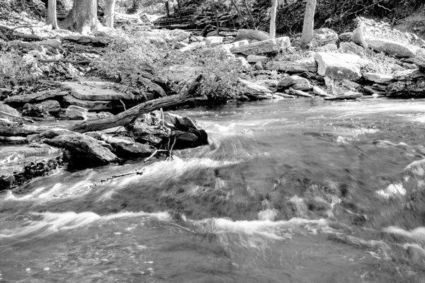 Tanyard Creek Rushing Water Grayscale Print