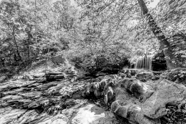Rustic Tanyard Creek Waterfall Scene Grayscale Print