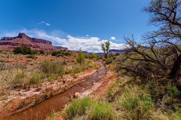 Utah Desert Hiking At Professor Creek Print