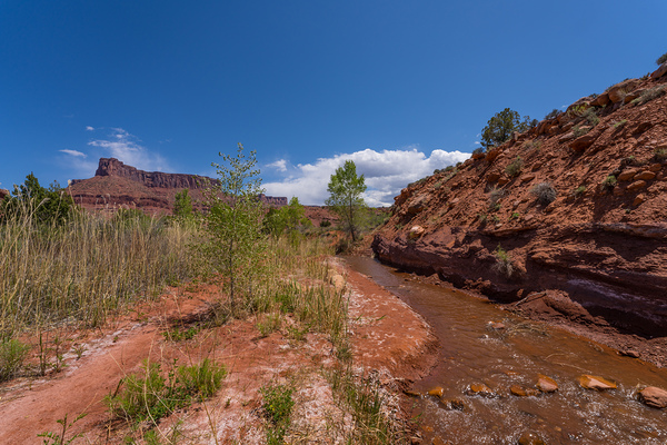 Professor Creek By A Bluff Print