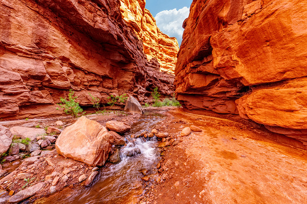 Small Waterfall Mary Jane Canyon Print