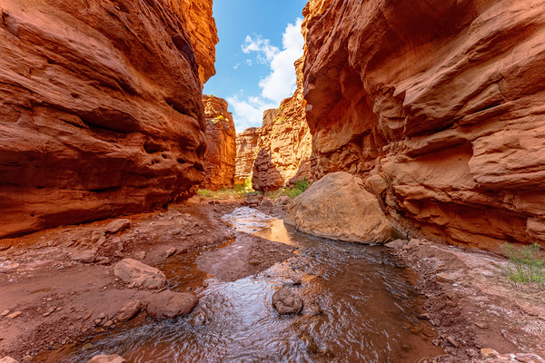 Mary Jane Canyon Shadows And Light by Jennifer White