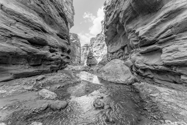 Mary Jane Canyon Shadows And Light Grayscale by Jennifer White