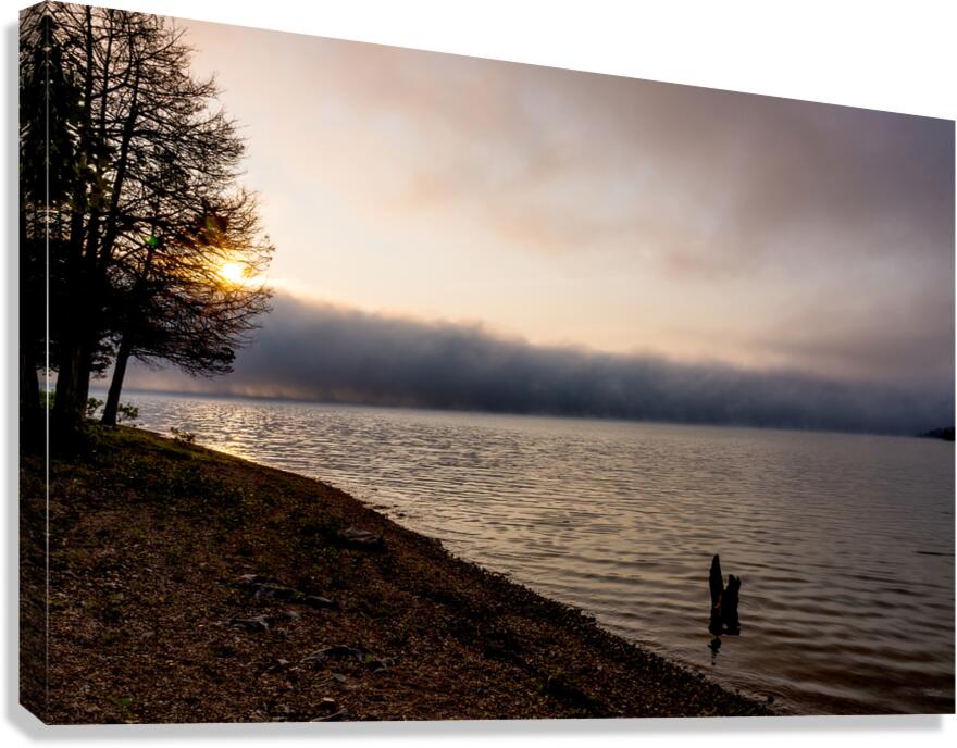 Tree Stump Snap By The Shoreline Canvas Print