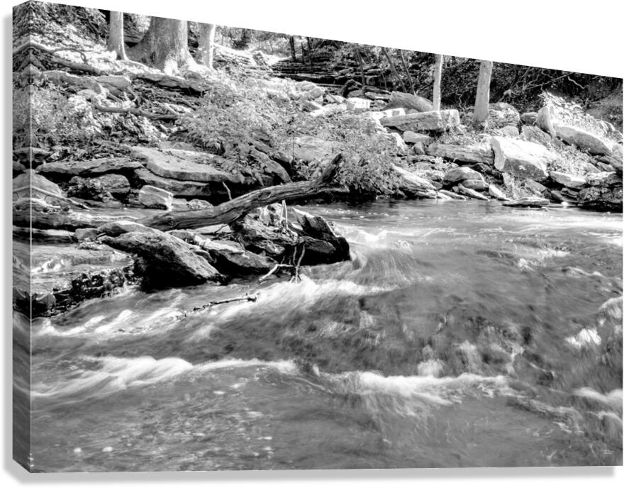 Tanyard Creek Rushing Water Grayscale Canvas Print