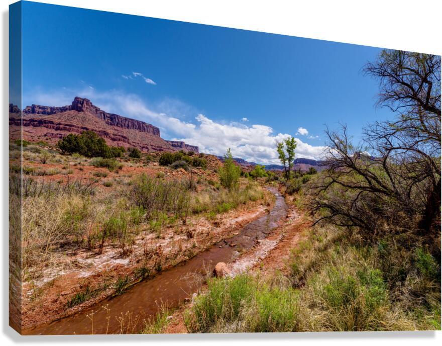 Utah Desert Hiking At Professor Creek Canvas Print