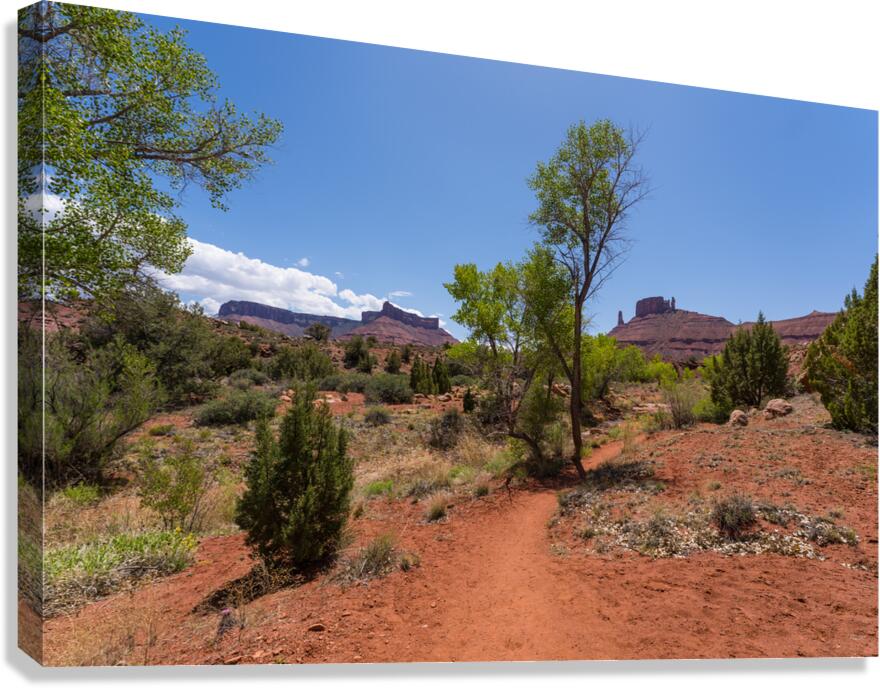 Professor Creek Utah Hiking Trail Canvas Print