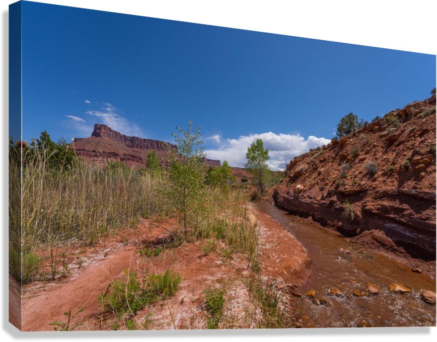 Professor Creek By A Bluff Canvas Print