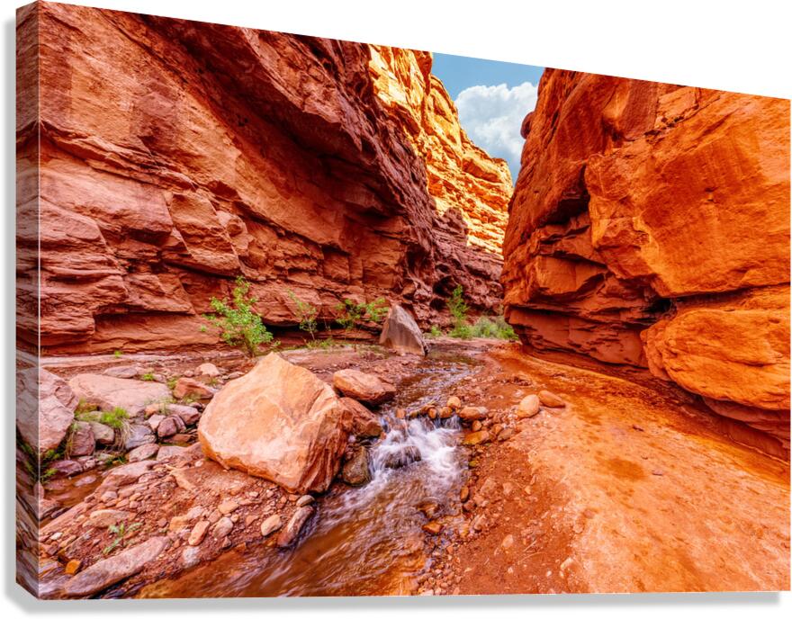 Small Waterfall Mary Jane Canyon Canvas Print