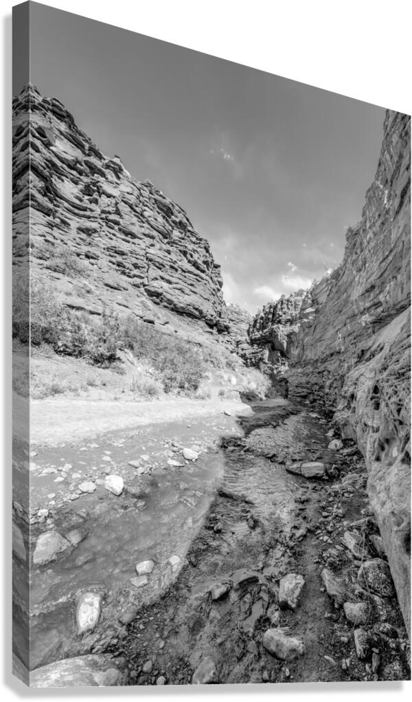 Picture of Open Area Of Mary Jane Canyon Vertical Grayscale by Jennifer White Wall Art