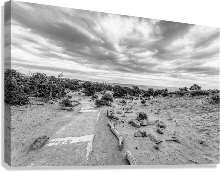 Mesa Arch Hiking Trail Grayscale Canvas Print