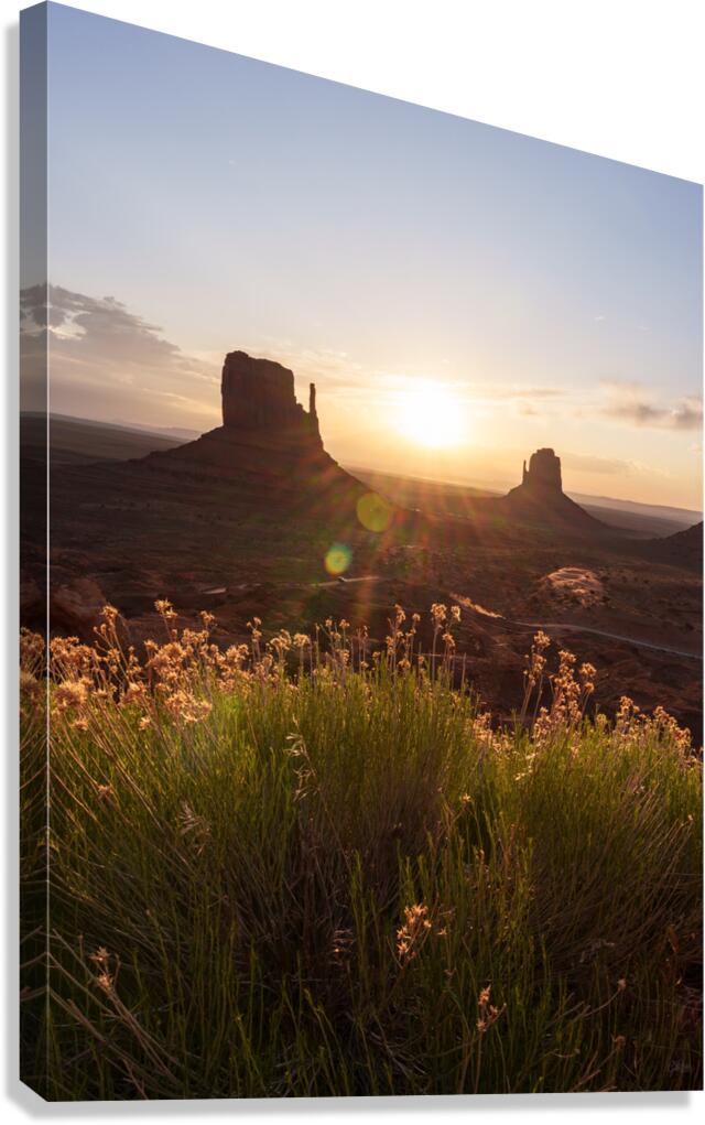 Yellow Flowers Monument Valley Sunrise Canvas Print