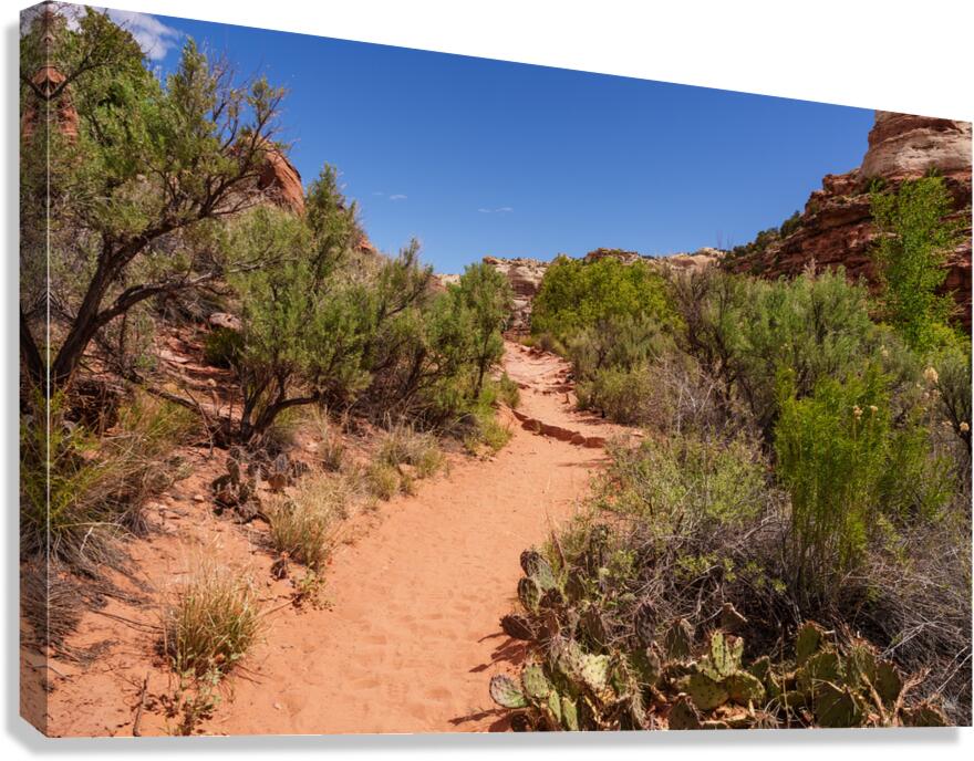 Pathway Through Grand Staircase Escalante Canvas Print