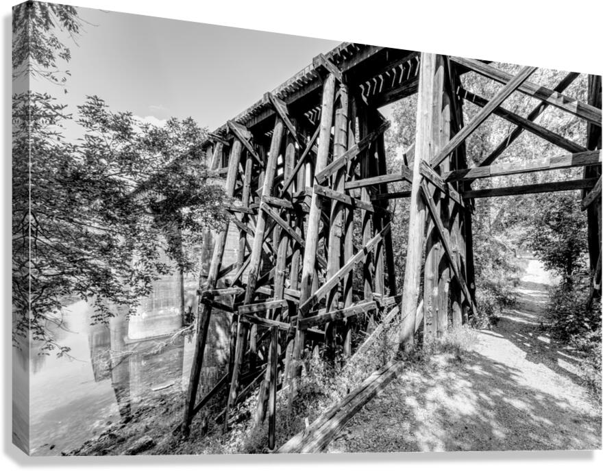 Path Under Old Railroad Bridge Grayscale Canvas Print