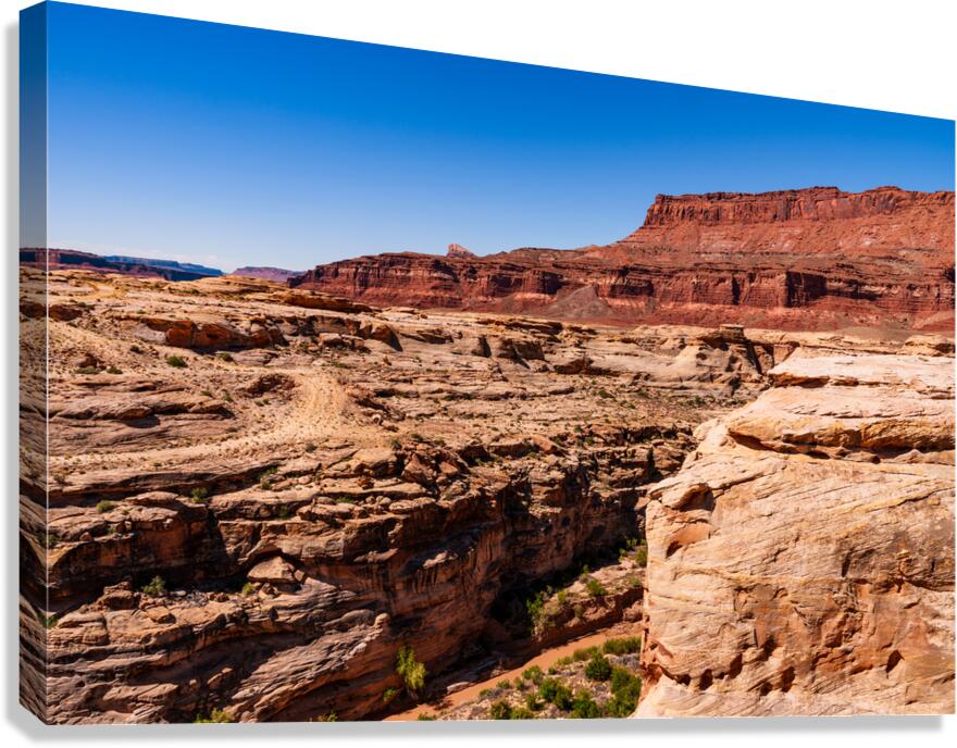 Dirty Devil River Utah Canvas Print