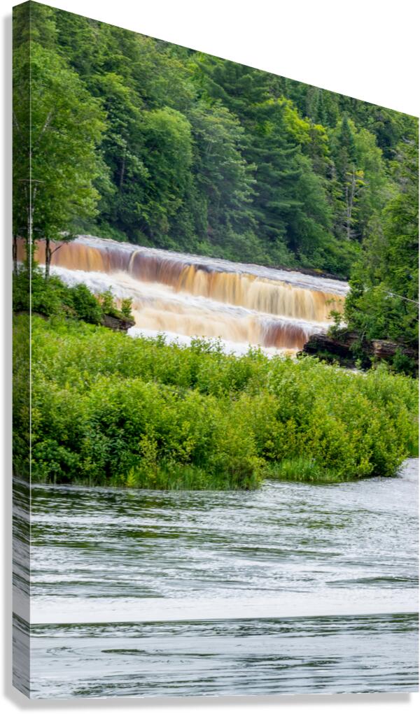 Tahquamenon Falls After Rain Canvas Print