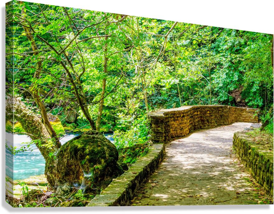 Pathway To Big Spring Canvas Print
