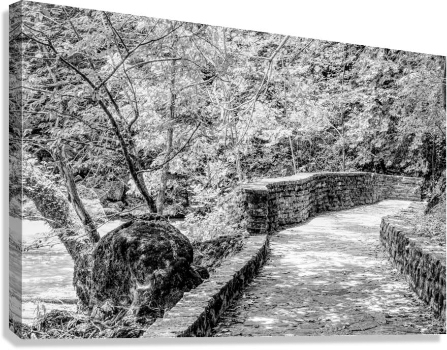 Pathway To Big Spring Grayscale Canvas Print