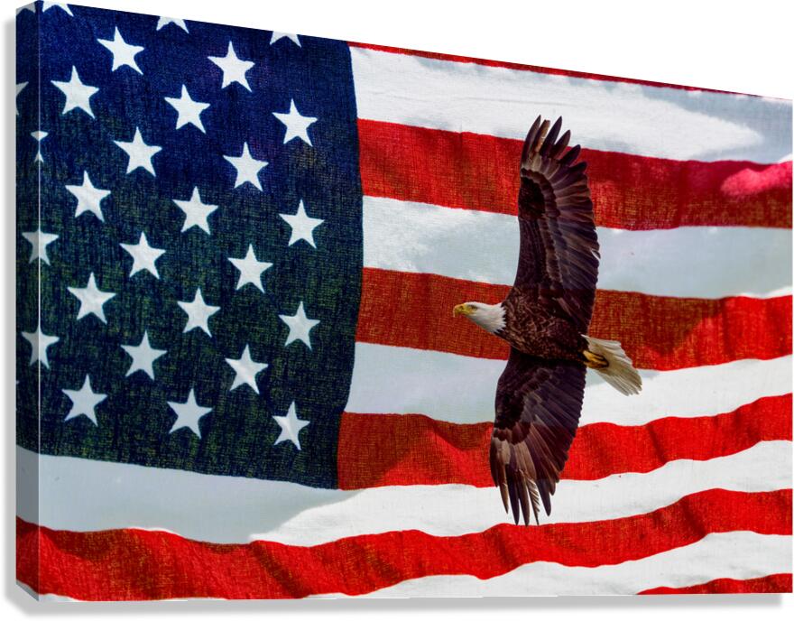 Flag25 6722 2 Canvas Print