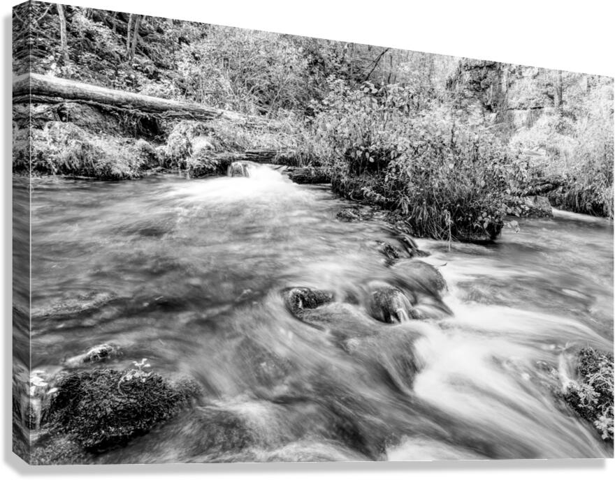 Autumn Cascades At Ozarks Greer Spring Grayscale Canvas Print